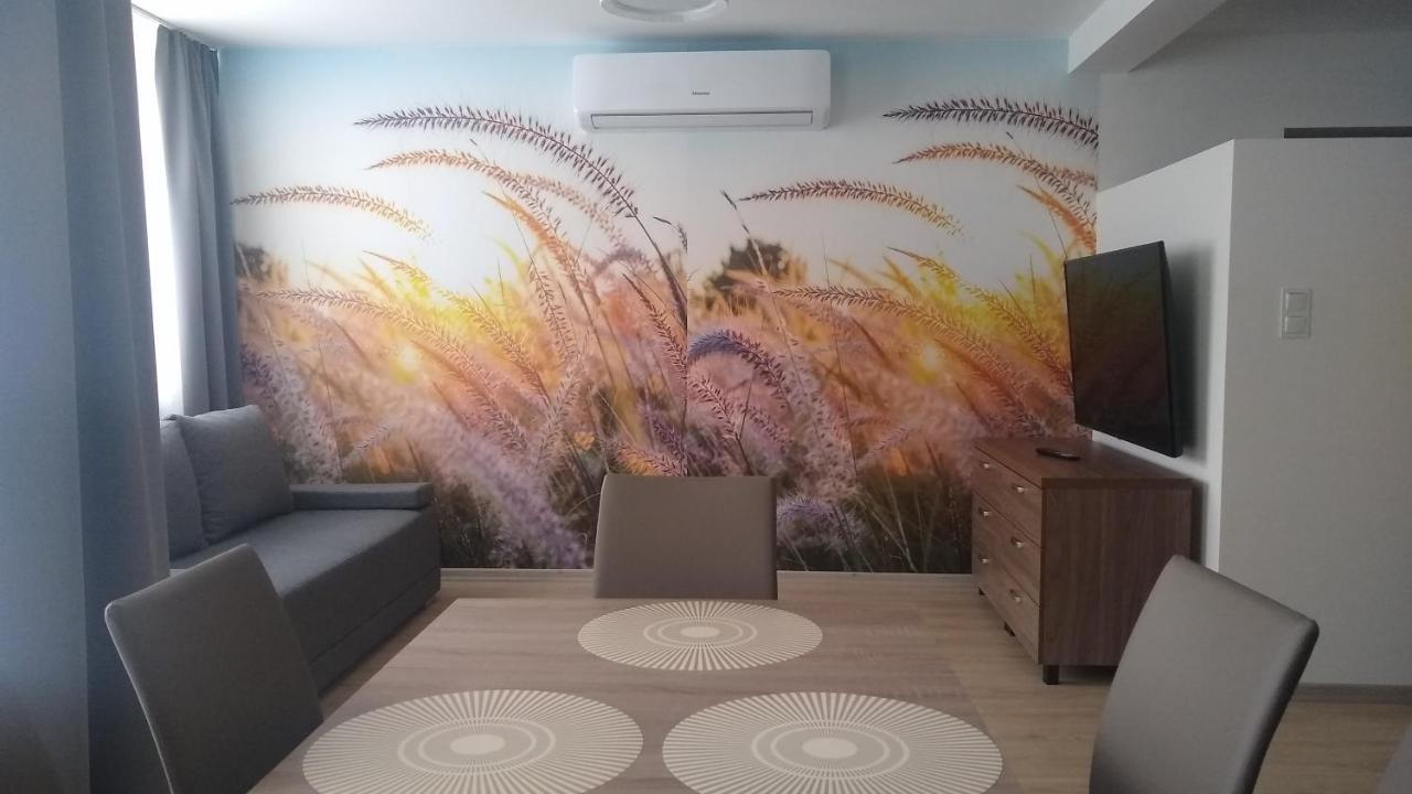 Apartamenty Lesne Zacisze กรินีซา ดรอยจ์ ภายนอก รูปภาพ